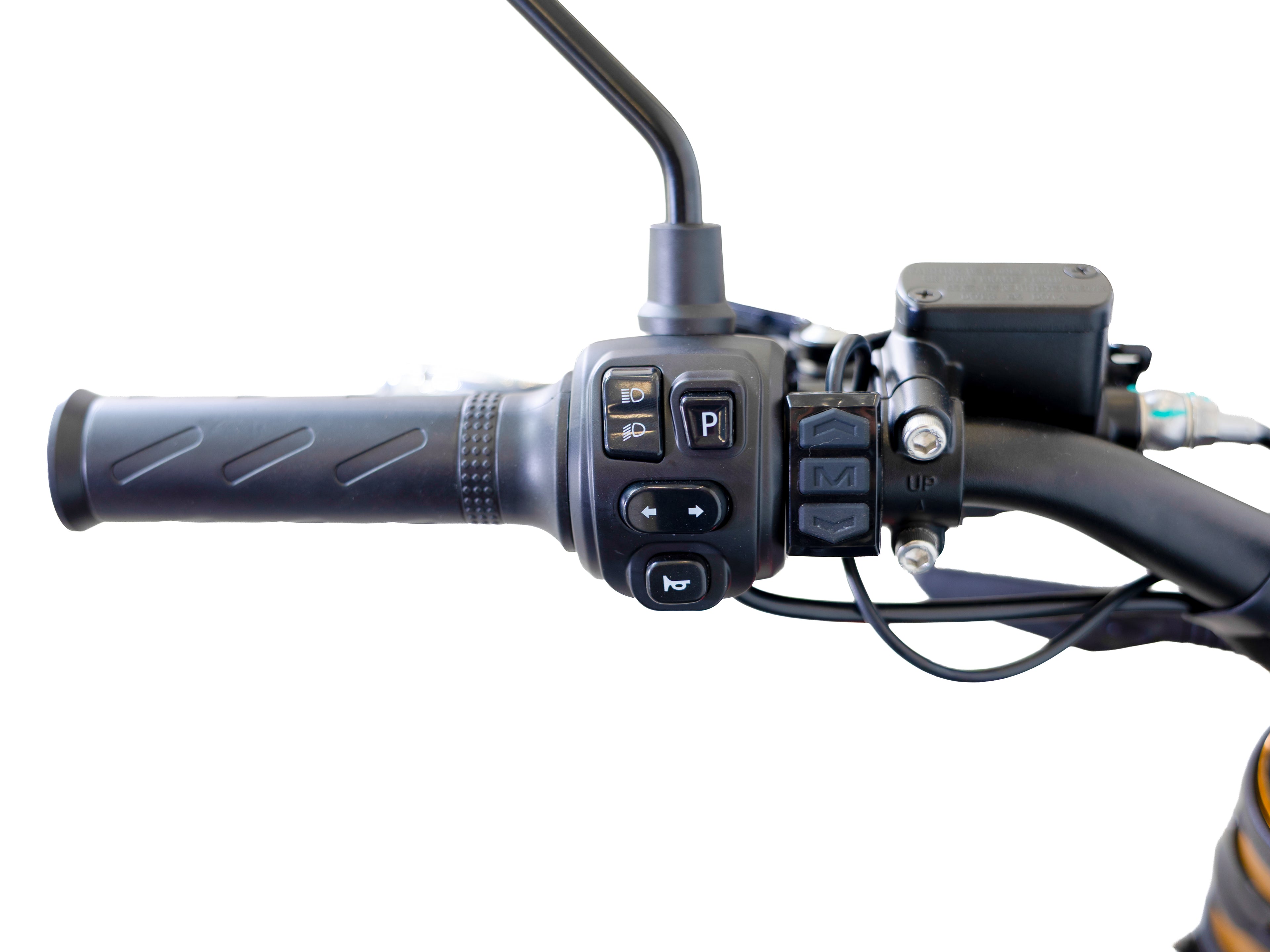 Arctic Leopard XE PRO R L1e – versión homologada